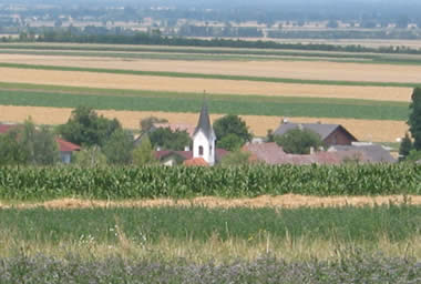 Blick über die Dächer von Kleinbaumgarten