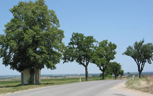 Blick von Gaubitsch in Richtung Altenmarkt